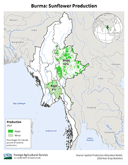 images\BM\cropprod\Burma_Sunflowerseed_preview.png